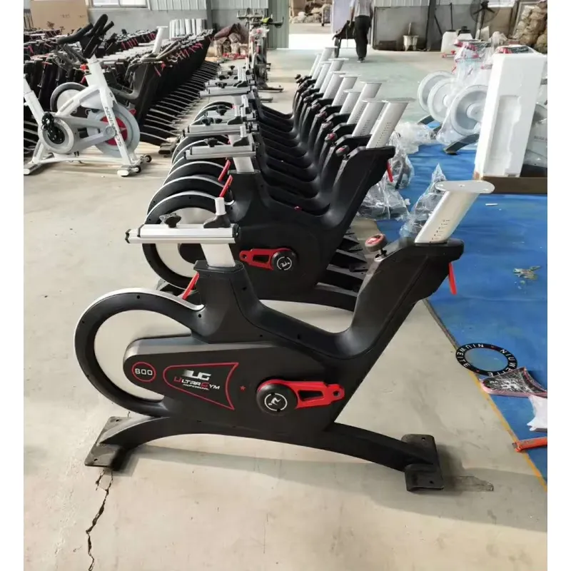Professional Magnetic Resistan - Home Gym Workout review and price