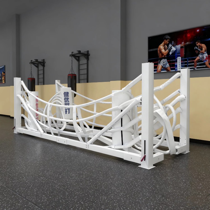 Foldable Gym Boxing Ring Set S - Home Gym Foldable review and price
