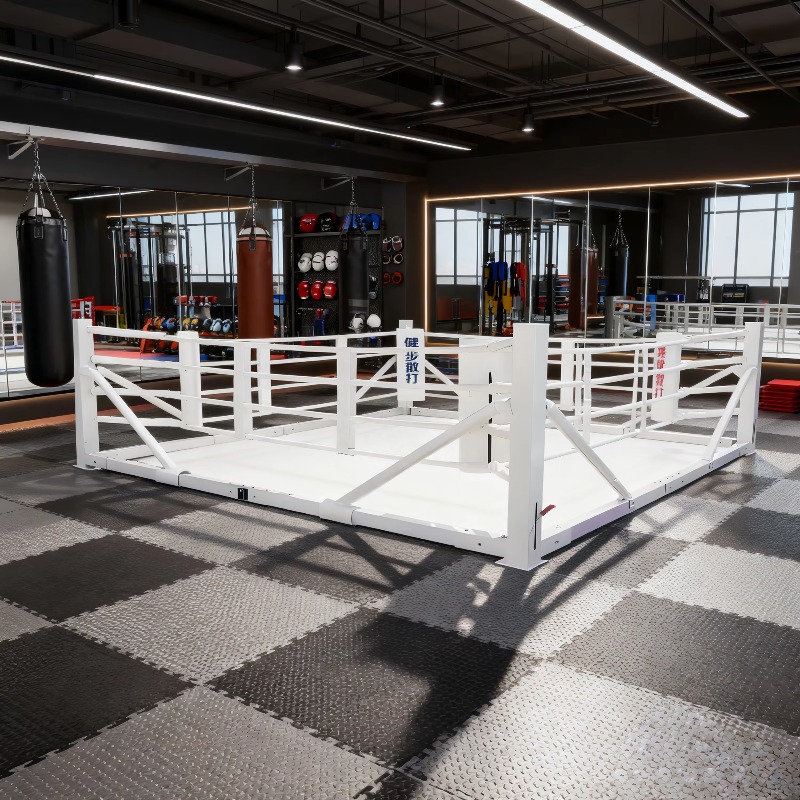 Foldable Gym Boxing Ring Set S - Home Gym Foldable review and price