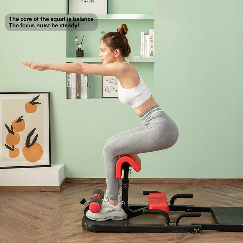 Sissy Squat Machine 3-in-1 Hom - Home Gym Quad review and price