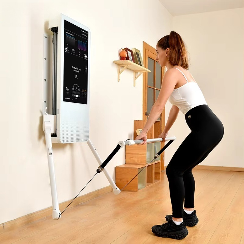 Multifunctional Home Fitness E - Home Gym On Wall review and price
