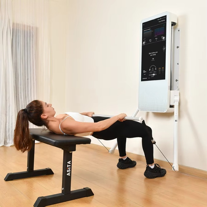 Multifunctional Home Fitness E - Home Gym On Wall review and price