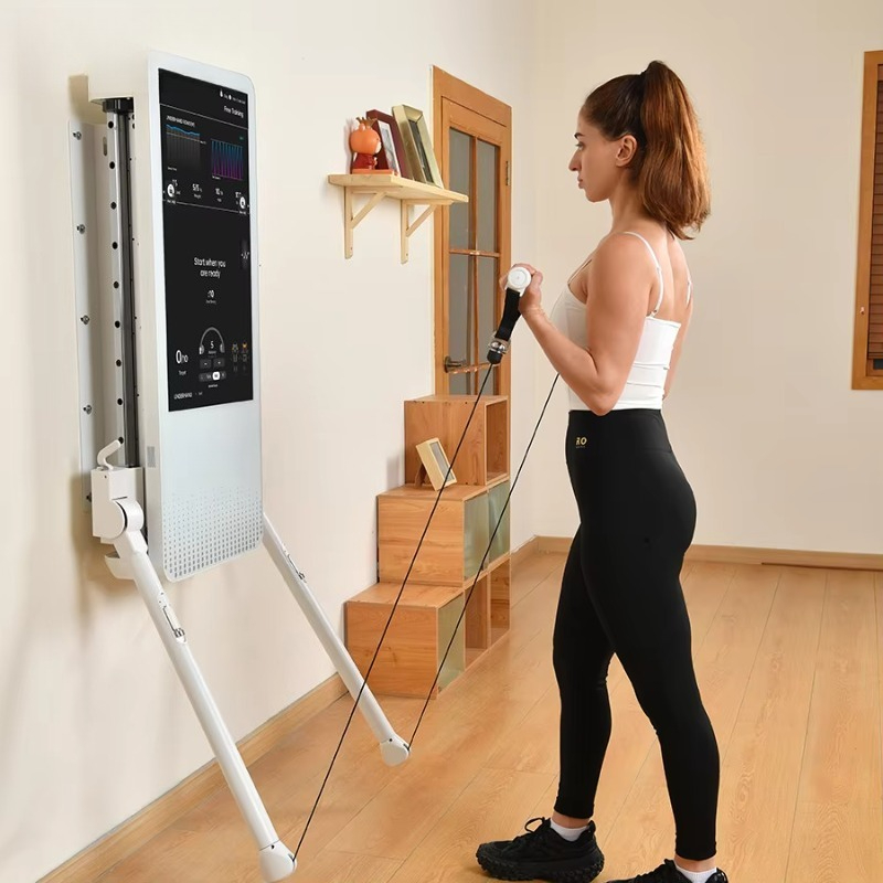 Multifunctional Home Fitness E - Home Gym On Wall review and price