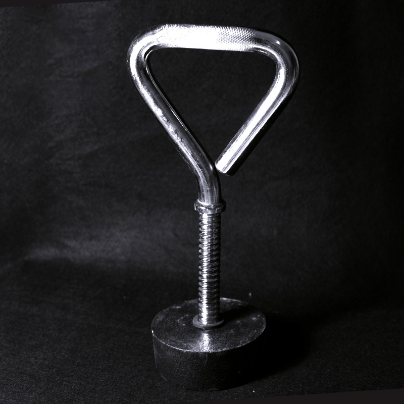 Adjustable Fitness Kettlebell  - Home Gym Kettlebells review and price